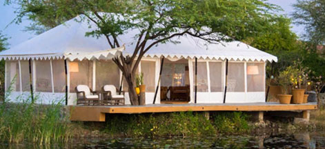 blackbuck lodge
